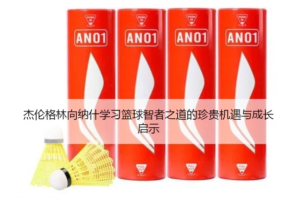 杰伦格林向纳什学习篮球智者之道的珍贵机遇与成长启示